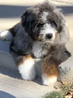 processed/b9a4b1c0-7745-4809-892a-12ec06d26c8e/facility/2a4deec8-b00f-4975-8703-b73a92288d39