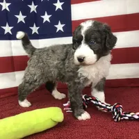 processed/b9a4b1c0-7745-4809-892a-12ec06d26c8e/facility/484408ec-82f5-4455-abae-13780f29bbf1