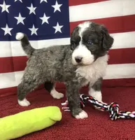 processed/b9a4b1c0-7745-4809-892a-12ec06d26c8e/facility/484408ec-82f5-4455-abae-13780f29bbf1