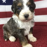 processed/b9a4b1c0-7745-4809-892a-12ec06d26c8e/facility/6239df60-c4a0-463b-8296-991569169990