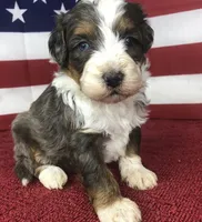 processed/b9a4b1c0-7745-4809-892a-12ec06d26c8e/facility/6239df60-c4a0-463b-8296-991569169990