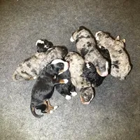 processed/b9a4b1c0-7745-4809-892a-12ec06d26c8e/facility/6da282cd-e78a-4e4e-a5f7-60b5efc41b1e