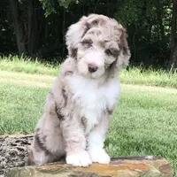 processed/b9a4b1c0-7745-4809-892a-12ec06d26c8e/facility/98321b36-7384-4f2d-af55-e9d987b99d44