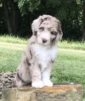 processed/b9a4b1c0-7745-4809-892a-12ec06d26c8e/facility/98321b36-7384-4f2d-af55-e9d987b99d44