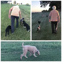 processed/b9a4b1c0-7745-4809-892a-12ec06d26c8e/facility/c585a5b4-0583-462f-8ce0-dfe5a1661ea0