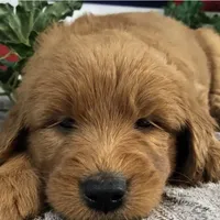 processed/b9a4b1c0-7745-4809-892a-12ec06d26c8e/facility/f8e43fad-0184-4015-b4ed-017de3860de7