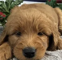 processed/b9a4b1c0-7745-4809-892a-12ec06d26c8e/facility/f8e43fad-0184-4015-b4ed-017de3860de7