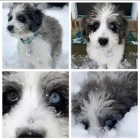 processed/b9a4b1c0-7745-4809-892a-12ec06d26c8e/facility/fb13bd6c-3b69-458a-a137-ed306966a156