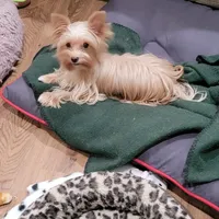 processed/b9a92270-060e-47df-ae5d-f18510b9e1c3/facility/2633189a-a64f-4fc7-b954-5b2eaca3bc11