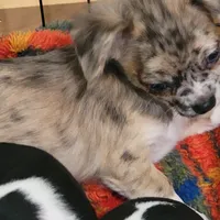 processed/b9a92270-060e-47df-ae5d-f18510b9e1c3/facility/5719c55e-b243-4ade-b37f-6e8c0556de39