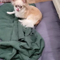 processed/b9a92270-060e-47df-ae5d-f18510b9e1c3/facility/7d8fc4b0-8e8a-447a-9241-19926347a956