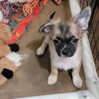 processed/b9a92270-060e-47df-ae5d-f18510b9e1c3/facility/b4e50757-e34f-4615-91e8-3eafb4a4b9d2