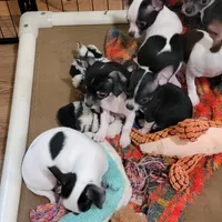 processed/b9a92270-060e-47df-ae5d-f18510b9e1c3/facility/c835f673-02c6-458c-9d28-a051601a0e7a