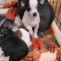 processed/b9a92270-060e-47df-ae5d-f18510b9e1c3/facility/db8f466a-4f8e-43ac-af8d-d659e0a04006