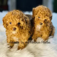 processed/b9a9b888-f8a9-4ead-bcc4-8e2913431200/facility/23b7db31-777b-48f2-9b98-a815f43d2f9d