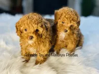 processed/b9a9b888-f8a9-4ead-bcc4-8e2913431200/facility/23b7db31-777b-48f2-9b98-a815f43d2f9d