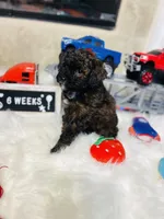 processed/b9a9b888-f8a9-4ead-bcc4-8e2913431200/facility/47c6276a-1d2f-4f7a-a486-e0da7279909b