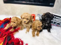 processed/b9a9b888-f8a9-4ead-bcc4-8e2913431200/facility/4fe314e3-3ae8-4205-b0b5-b4c8a5a3ae39