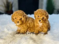 processed/b9a9b888-f8a9-4ead-bcc4-8e2913431200/facility/745c1c0b-c23c-45c7-bb12-c9d84e5b8474