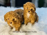 processed/b9a9b888-f8a9-4ead-bcc4-8e2913431200/facility/a02c65dc-2ace-4015-957b-3ee9125f946f