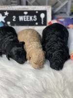 processed/b9a9b888-f8a9-4ead-bcc4-8e2913431200/facility/a1833c35-0910-4231-a707-175037176df6