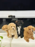 processed/b9a9b888-f8a9-4ead-bcc4-8e2913431200/facility/de170770-f09d-483f-81bb-bbce138d83be