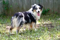 processed/b9be381a-9c37-47b5-a3f3-554ff28c9608/facility/2a645832-989c-4db2-aa29-4f816ee9bdf8