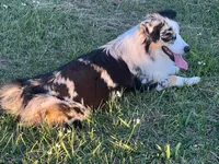 processed/b9be381a-9c37-47b5-a3f3-554ff28c9608/facility/a21fde1d-6d5f-4380-a1fd-9909edc2a413