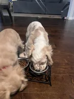 processed/b9c17e01-9381-42a4-91d3-e993686a878e/listing/00612d12-5bc8-4c29-bc95-04a89cf7bb71/7b174fff-4236-41f9-bac4-4f0e97eaa9df