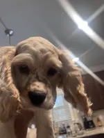 processed/b9c17e01-9381-42a4-91d3-e993686a878e/listing/00612d12-5bc8-4c29-bc95-04a89cf7bb71/7d74fe88-30ba-4c6f-a8c0-6217280c7f24