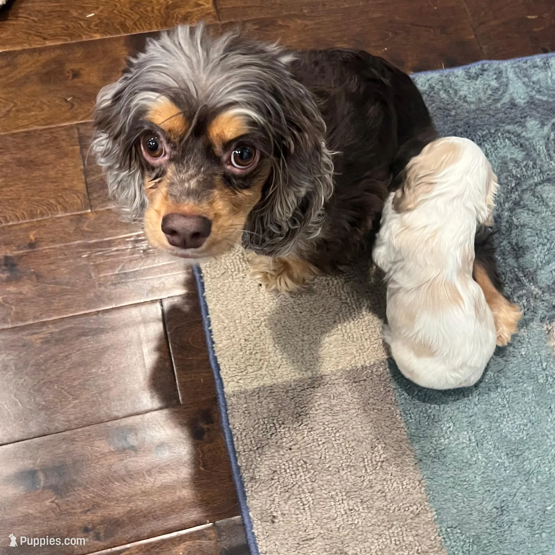 processed/b9c17e01-9381-42a4-91d3-e993686a878e/listing/00612d12-5bc8-4c29-bc95-04a89cf7bb71/7fb406ec-4409-4d29-803e-dd7478c4c181