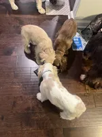 processed/b9c17e01-9381-42a4-91d3-e993686a878e/listing/00612d12-5bc8-4c29-bc95-04a89cf7bb71/a2e194cf-aacb-4d84-931e-0a7d33afea64