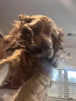 processed/b9c17e01-9381-42a4-91d3-e993686a878e/listing/56ba3174-0f4b-49a2-823a-90ee50d26862/9bbd7a89-914c-4095-91ae-04cb6477215e