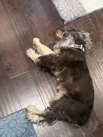 processed/b9c17e01-9381-42a4-91d3-e993686a878e/listing/a47ec459-e2e2-4c16-9459-13eb775675e0/4a46093d-3a31-4692-923e-3fa96d2662ea