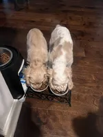 processed/b9c17e01-9381-42a4-91d3-e993686a878e/listing/a47ec459-e2e2-4c16-9459-13eb775675e0/7f3b2c44-1bf1-428c-8348-c2b3a4a9158a