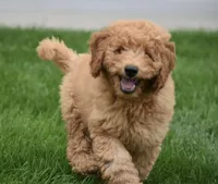 processed/b9c44d4a-37d4-4127-b457-30f87132face/facility/df7af722-cdb7-4caa-a50e-4b442e59b7af