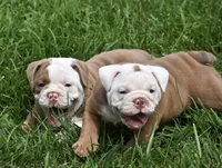 processed/b9c44d4a-37d4-4127-b457-30f87132face/facility/f435440e-1306-4be8-875c-a94b8ed2be9f