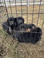 processed/b9dbf0f3-c473-49f3-8563-efa26bee1d64/listing/8d79cacd-04ca-410d-851c-b361c0dd2798/20a67297-dd84-49cb-9bc1-8d8aa573e184