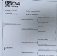 processed/b9dbf0f3-c473-49f3-8563-efa26bee1d64/listing/8d79cacd-04ca-410d-851c-b361c0dd2798/288821b3-f41f-4db6-9fd6-5f9d4d2ac65e