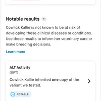 Buddy , a male Doberman Pinscher for sale in Austinville, VA – Photo 7 of 10