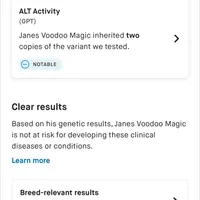 Buddy , a male Doberman Pinscher for sale in Austinville, VA – Photo 8 of 10