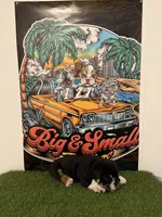 Luigi, a male English Bulldog for sale in Mobile, AL – 1 of 6