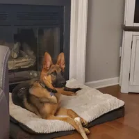 processed/b9dd9bdb-7ee7-45de-9d5e-c66985a12c40/facility/0253356a-cbd3-42d8-b3f1-ce58eebccc60