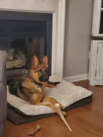 processed/b9dd9bdb-7ee7-45de-9d5e-c66985a12c40/facility/0253356a-cbd3-42d8-b3f1-ce58eebccc60