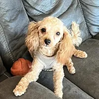 processed/b9dd9bdb-7ee7-45de-9d5e-c66985a12c40/facility/0e708c1b-108c-4e01-88fd-49a59a48bf25