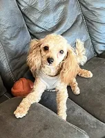 processed/b9dd9bdb-7ee7-45de-9d5e-c66985a12c40/facility/0e708c1b-108c-4e01-88fd-49a59a48bf25