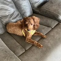 processed/b9dd9bdb-7ee7-45de-9d5e-c66985a12c40/facility/10405bb2-85a5-473e-9909-71a59f3e8b7b