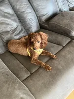 processed/b9dd9bdb-7ee7-45de-9d5e-c66985a12c40/facility/10405bb2-85a5-473e-9909-71a59f3e8b7b