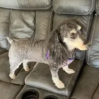 processed/b9dd9bdb-7ee7-45de-9d5e-c66985a12c40/facility/19df4dfe-79c2-4b53-8181-374492b97b50