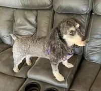 processed/b9dd9bdb-7ee7-45de-9d5e-c66985a12c40/facility/19df4dfe-79c2-4b53-8181-374492b97b50